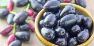 jamun benefits