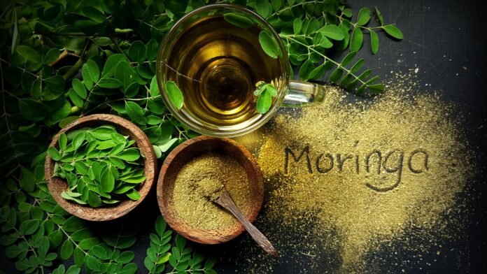 Moringa Benefits: A Comprehensive Guide to the Miracle Tree