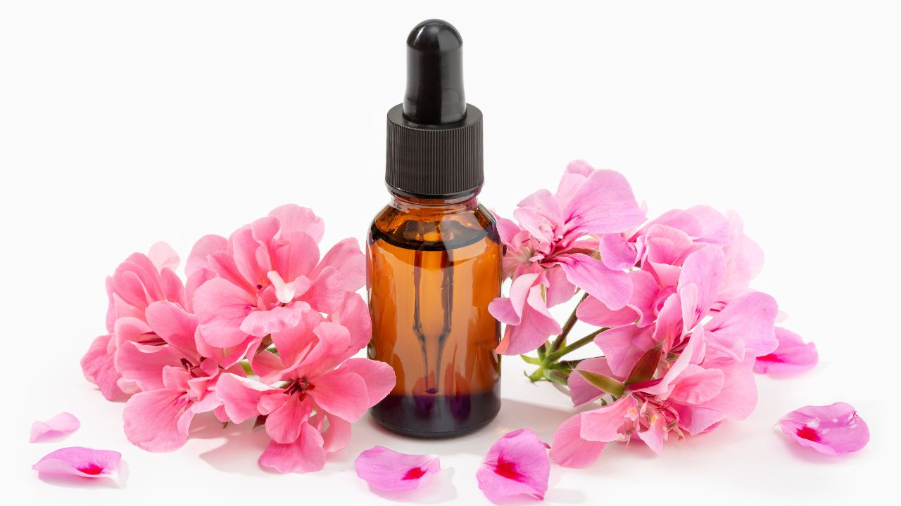 Geranium Essential Oil