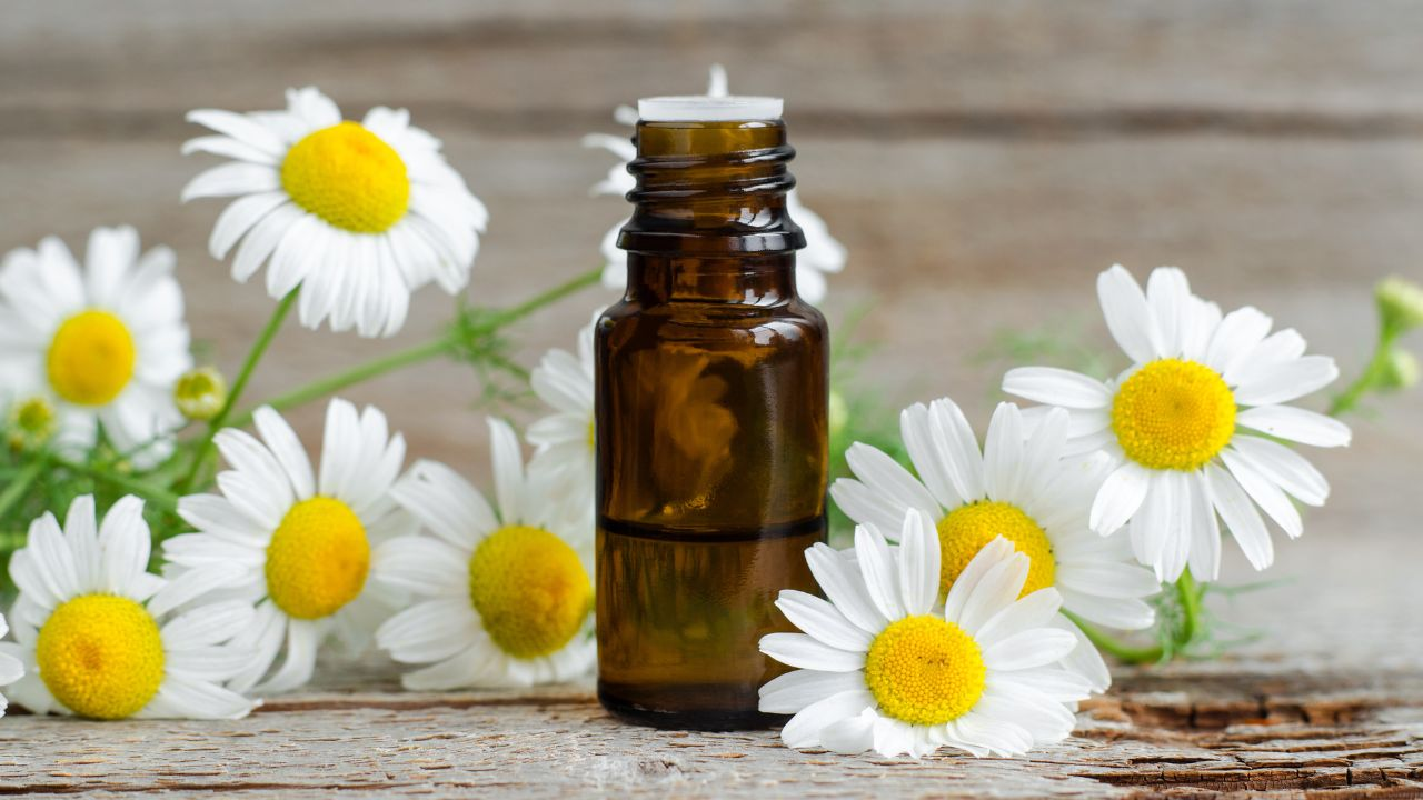 Chamomile Essential Oil