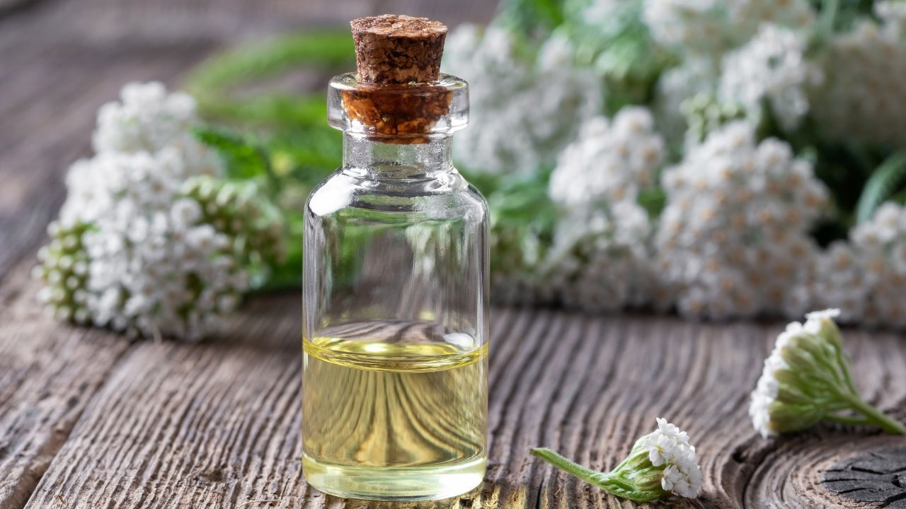 Yarrow Essential Oil