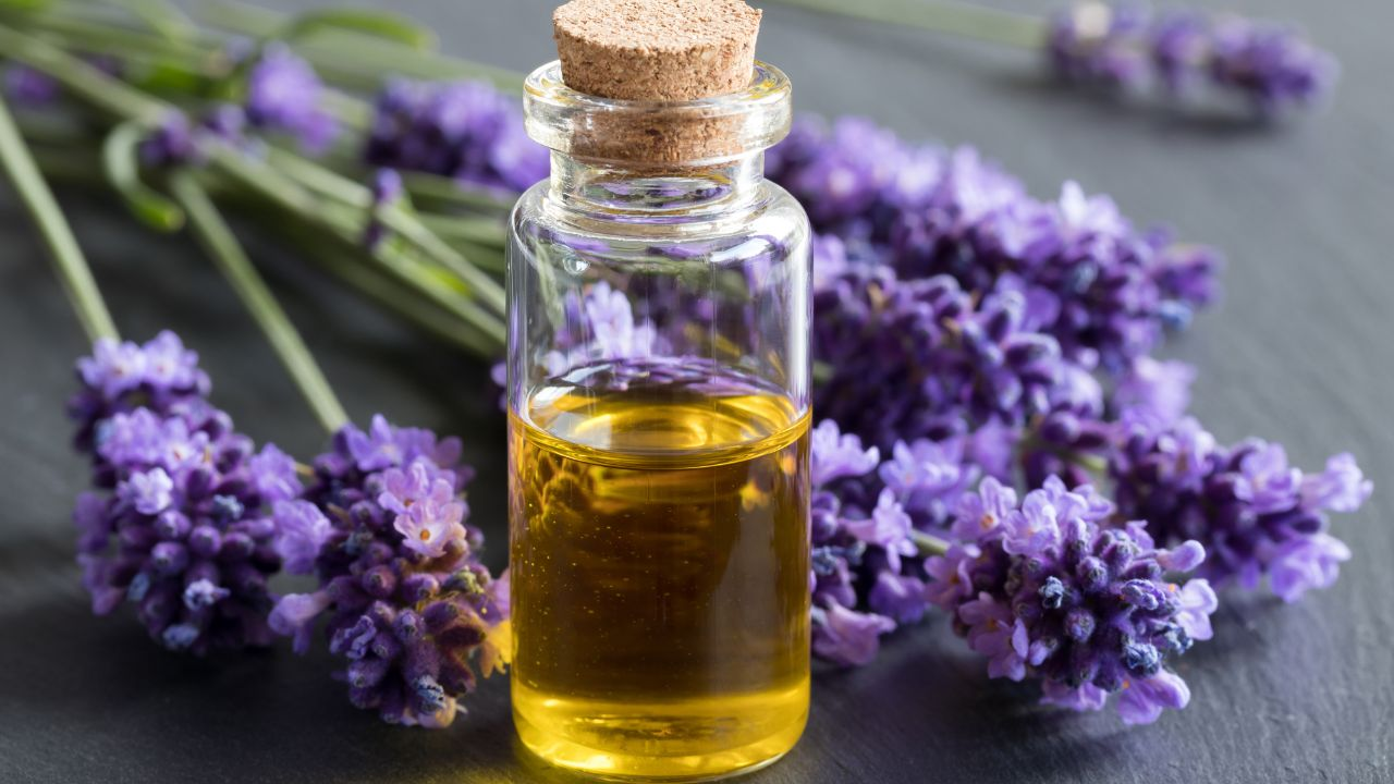 Lavender Essential Oil 