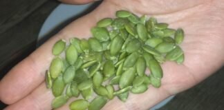 वरिष्ठ प्रोटीन फूड – 60 के बाद मांसपेशियां मजबूत करने के उपाय